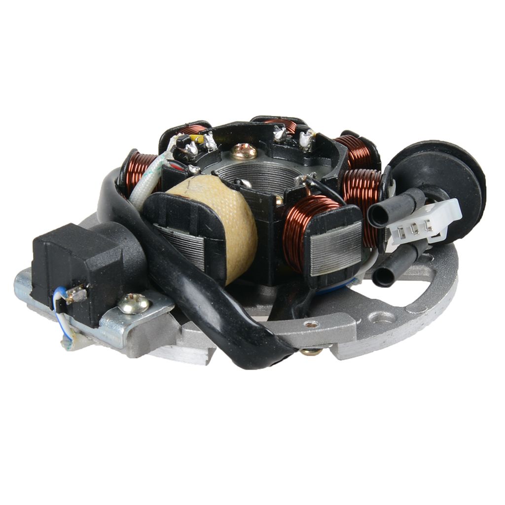 ScooterLibre Zündankerplatte 50ccm 2-Takt 2 + 3 Kabel