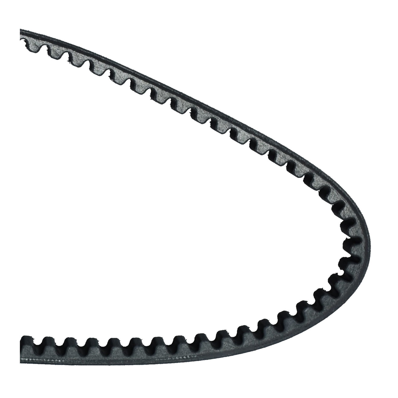 Dayco Keilriemen Antriebsriemen 8106K verstärkt