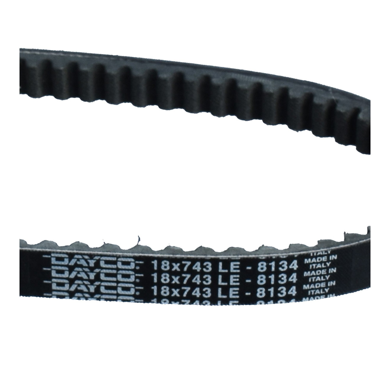 Dayco Keilriemen Antriebsriemen 8134