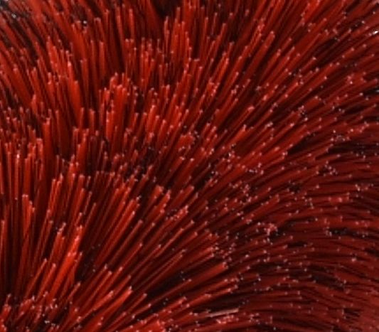 EZ Detail Junior Brosse à Jantes Rouge 33cm