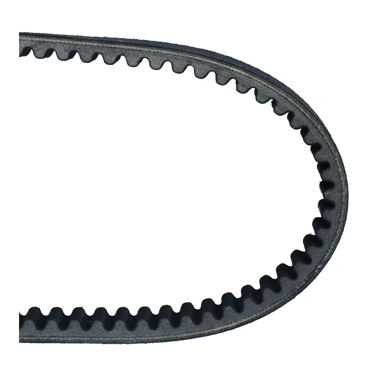 Dayco Keilriemen Antriebsriemen 8118K verst.