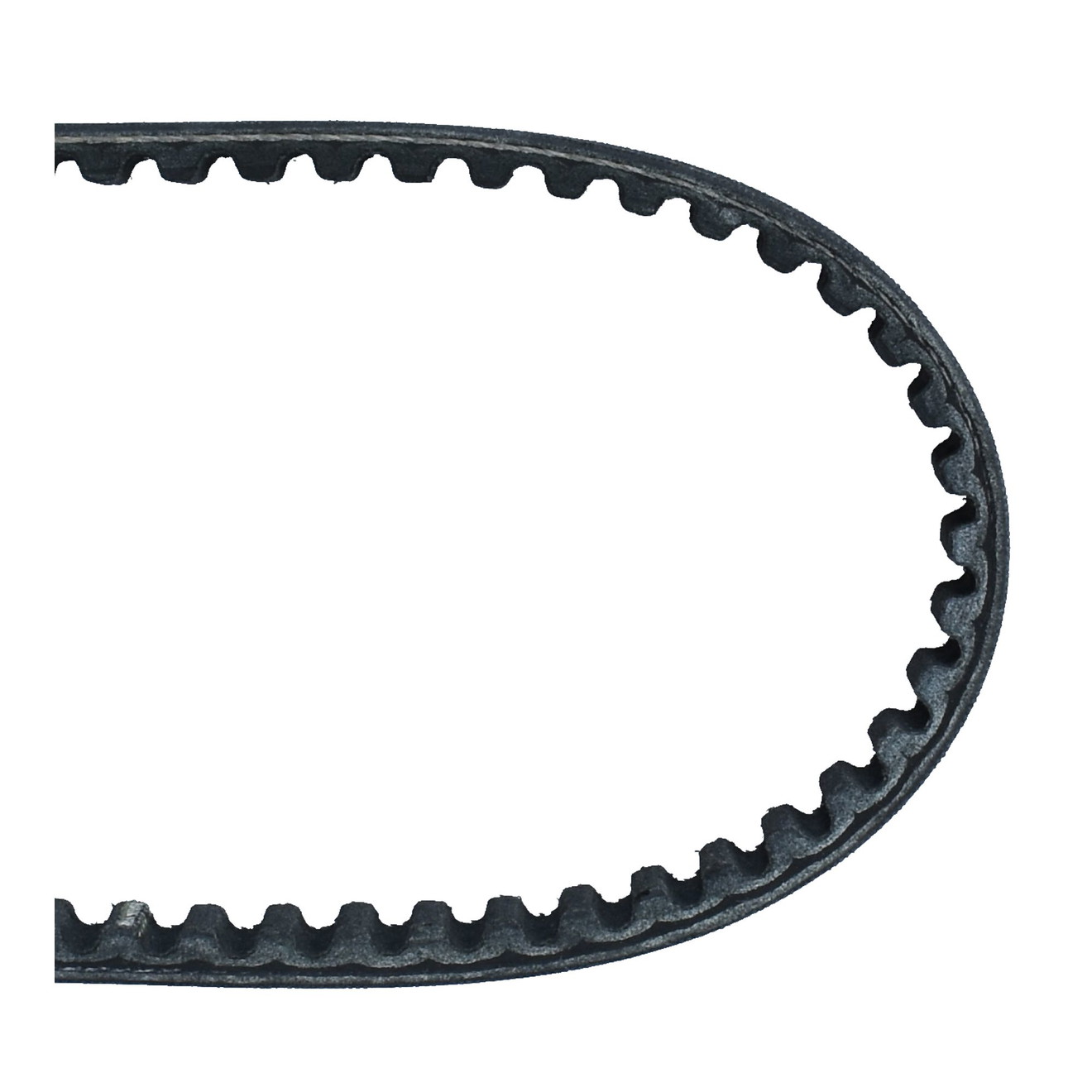 Dayco Keilriemen Antriebsriemen 8101