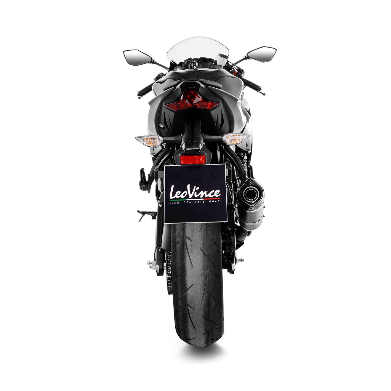 LeoVince Auspuff LV One Evo Slip-On Carbon