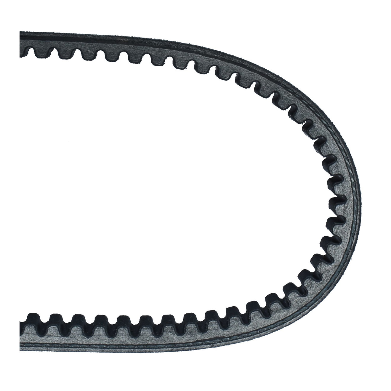Dayco Keilriemen Antriebsriemen 8154