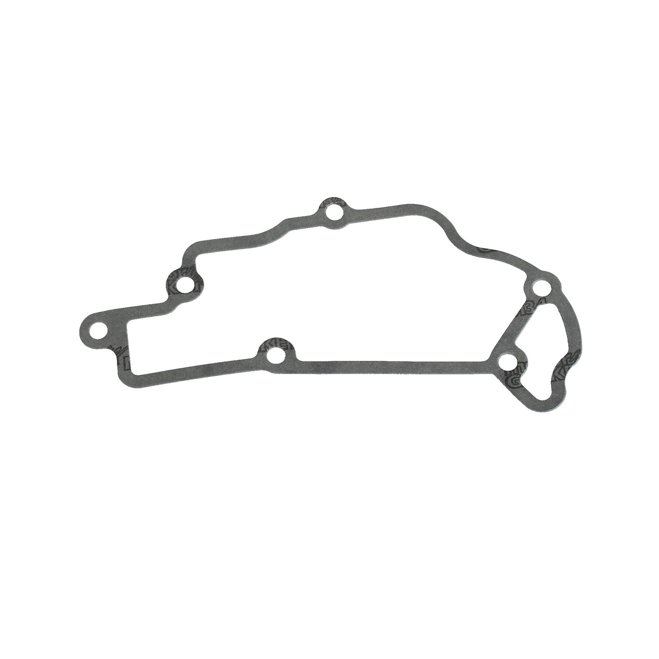 Piaggio Ölwannendichtung