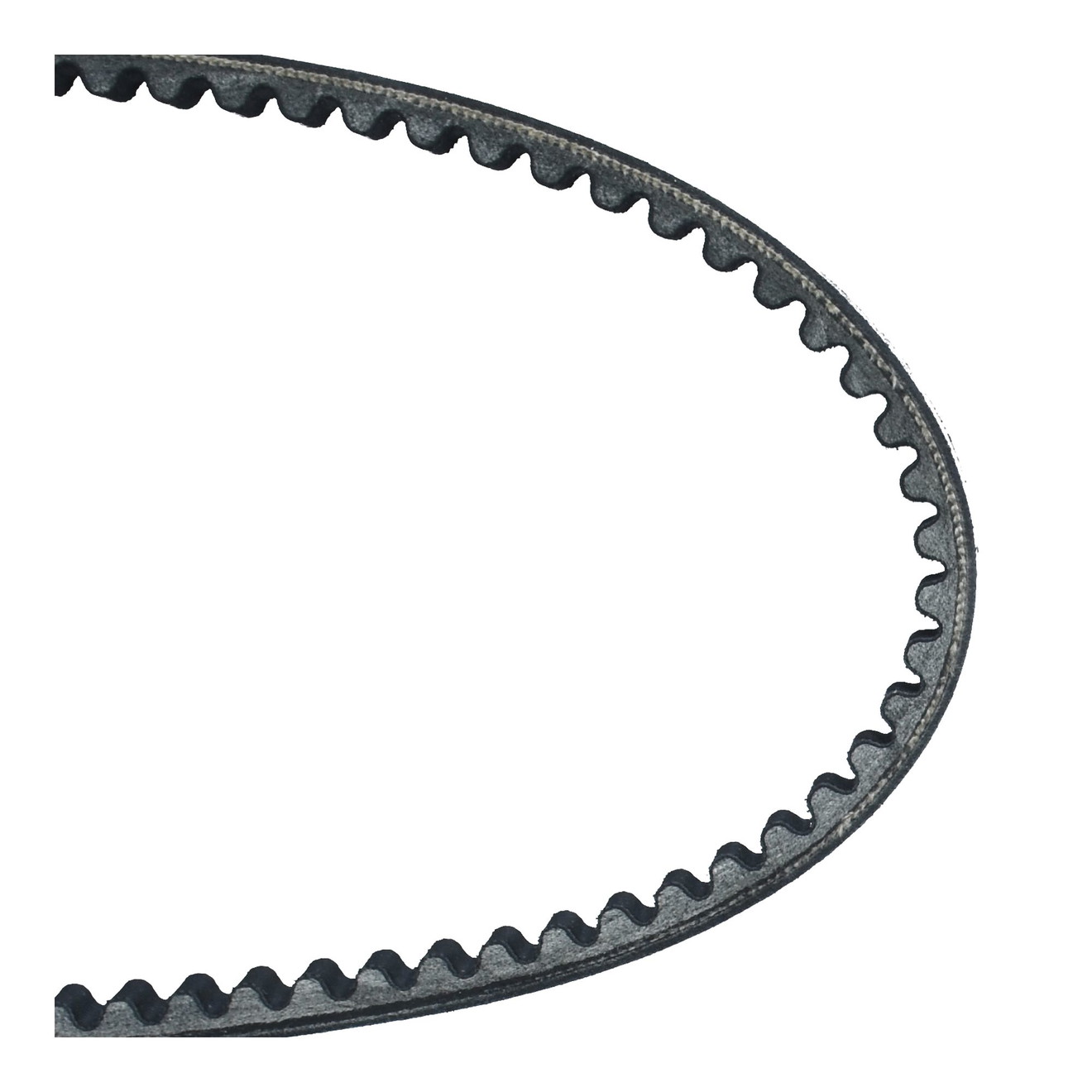 Dayco Keilriemen Antriebsriemen 8172K verstärkt