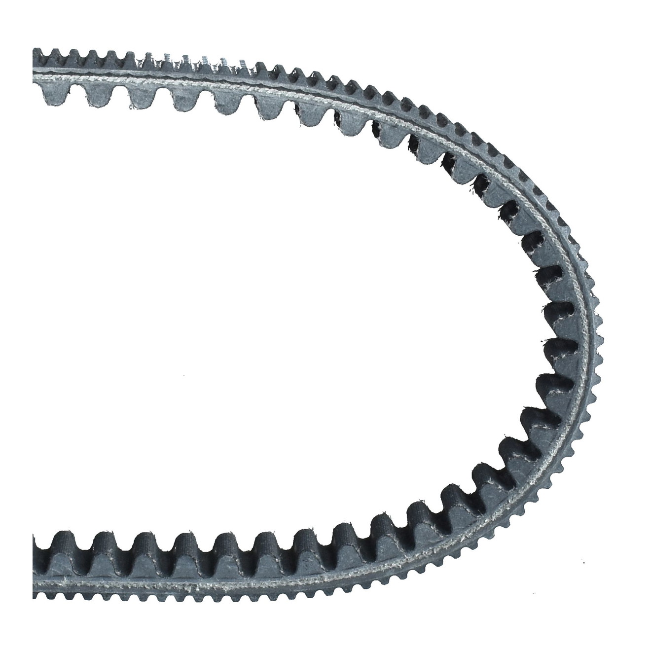 Dayco Keilriemen Antriebsriemen verstärkt