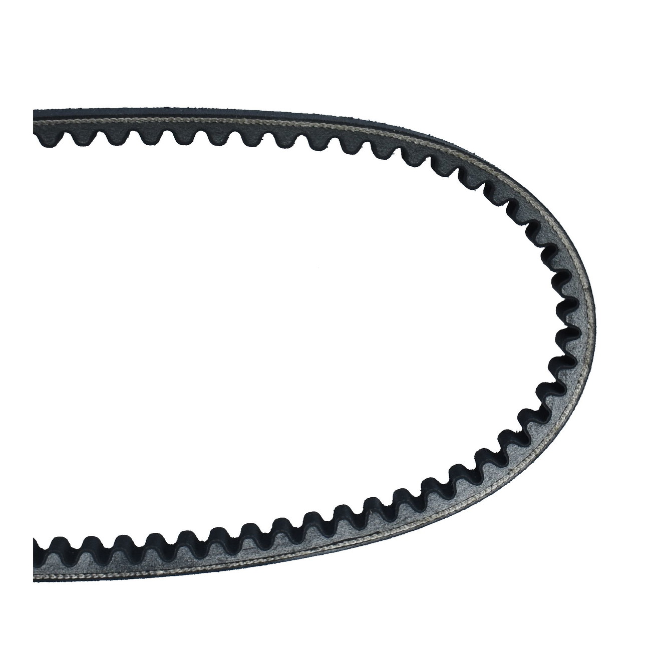 Dayco Keilriemen Antriebsriemen 8134K verstärkt
