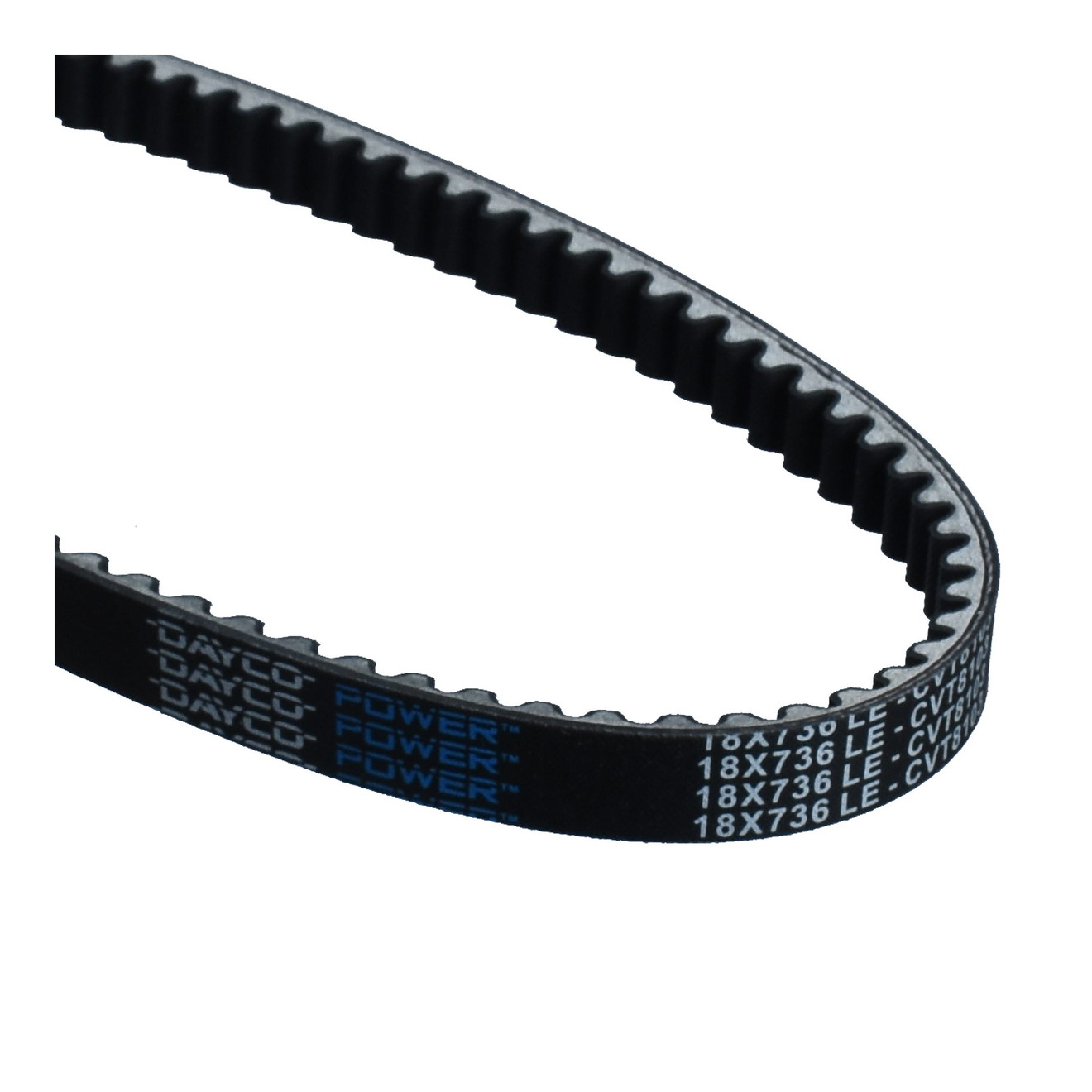 Dayco Keilriemen Antriebsriemen 8103