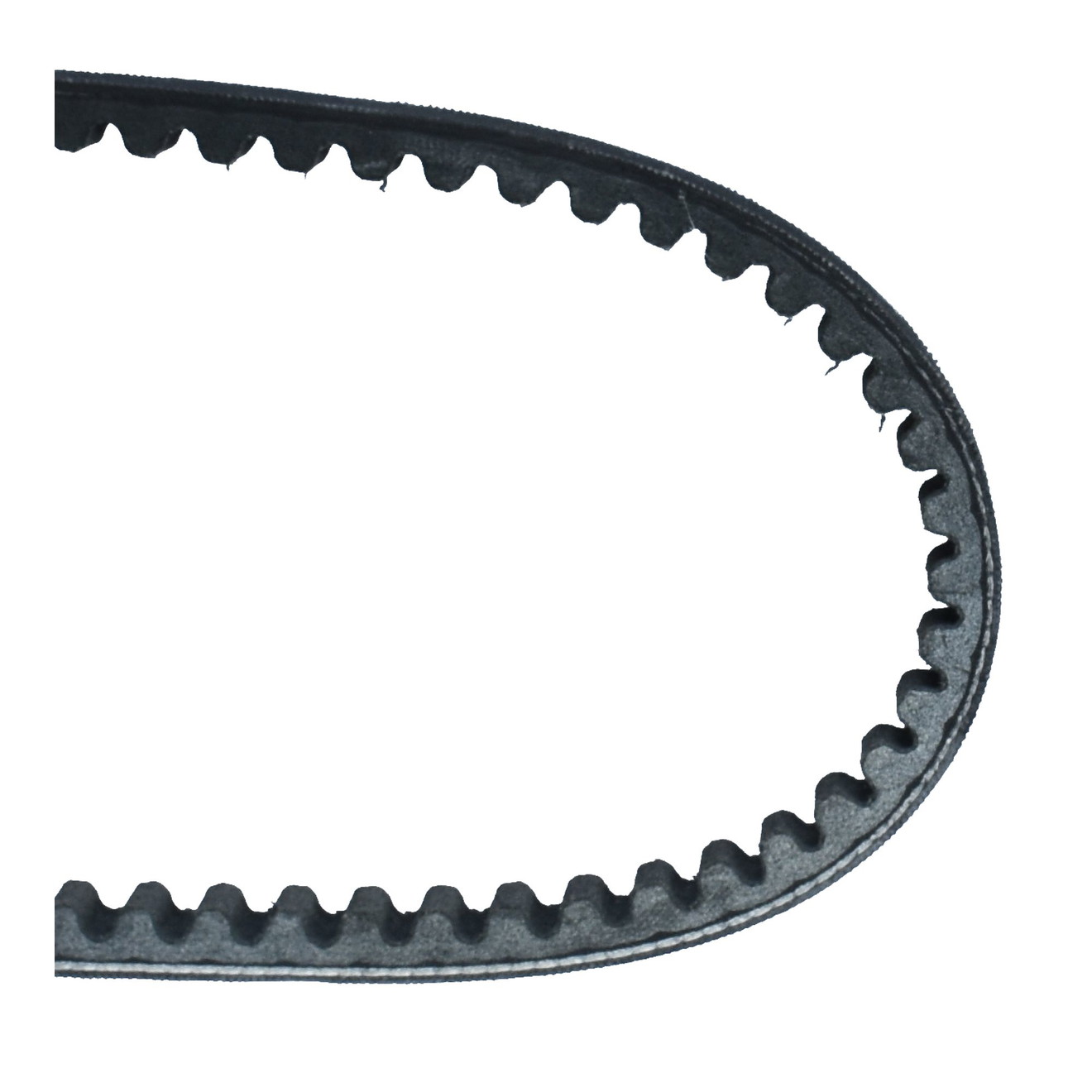 Dayco Keilriemen Antriebsriemen 8134